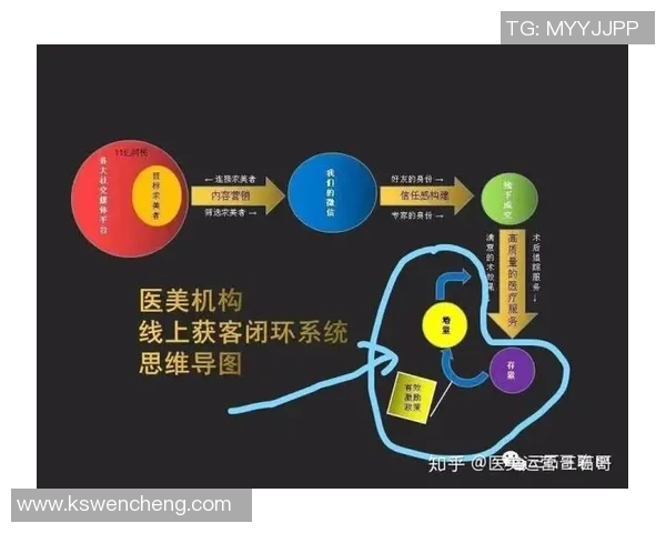 武汉排球队的战术创新与运营体系解析探讨